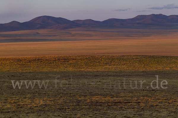 Mongolei (Mongolia)