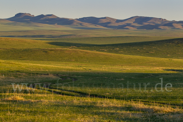 Mongolei (Mongolia)