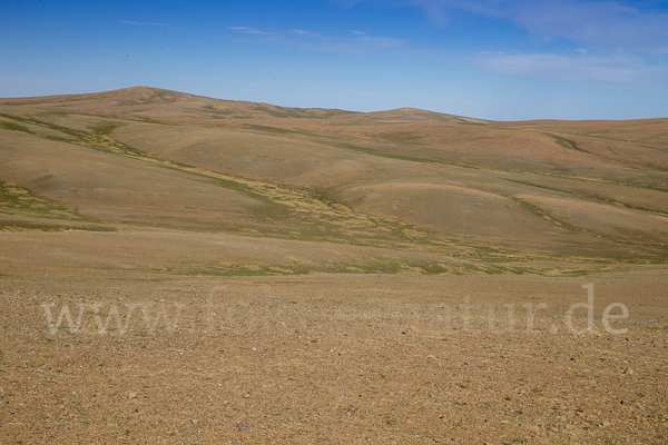 Mongolei (Mongolia)