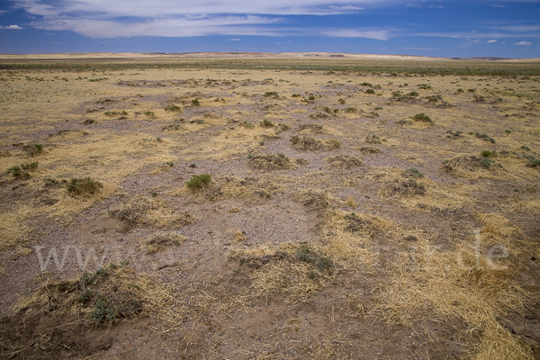 Mongolei (Mongolia)