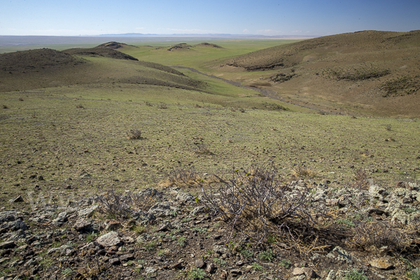 Mongolei (Mongolia)