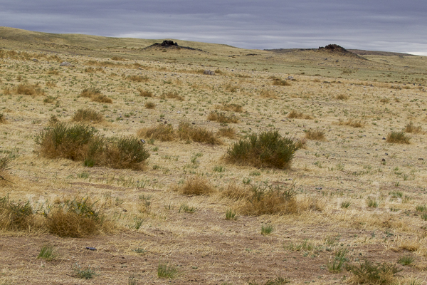 Mongolei (Mongolia)