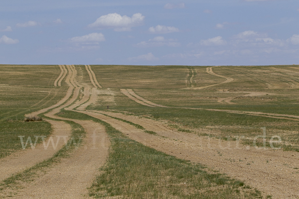 Mongolei (Mongolia)