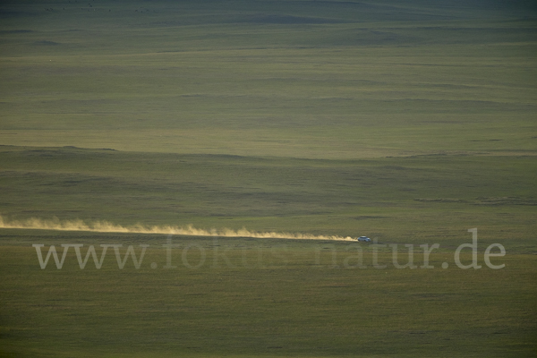 Mongolei (Mongolia)