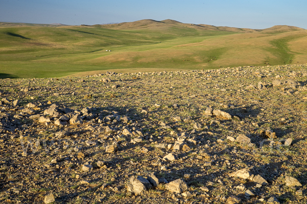 Mongolei (Mongolia)