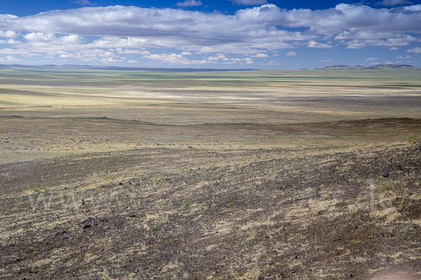 Mongolei (Mongolia)