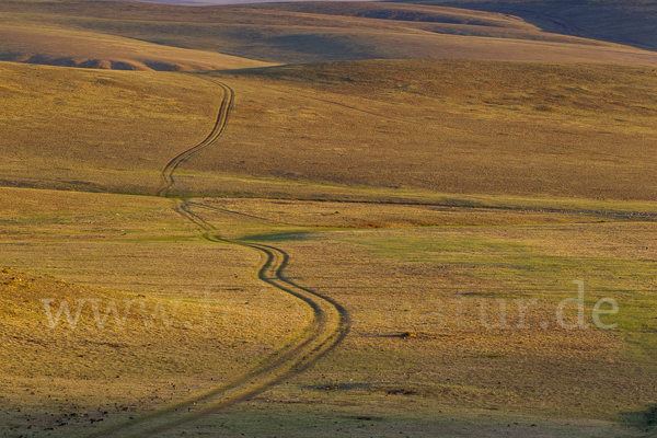 Mongolei (Mongolia)