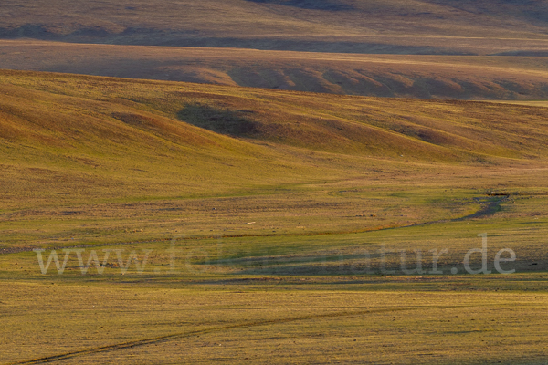 Mongolei (Mongolia)