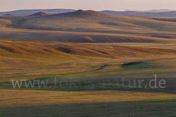 Mongolei (Mongolia)