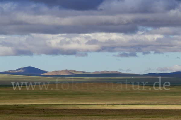 Mongolei (Mongolia)