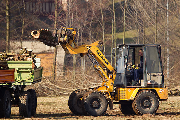 Naturzerstörung (destruction of nature)