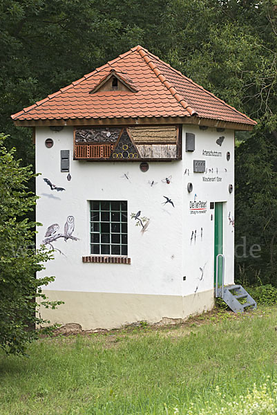 Nistkasten (nest box)