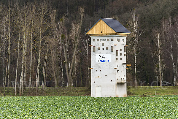 Nistkasten (nest box)