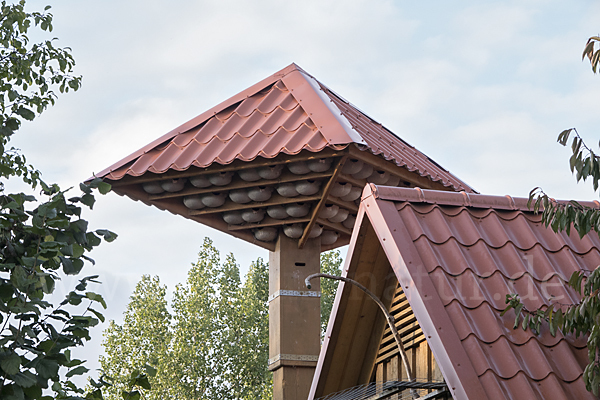 Nistkasten (nest box)