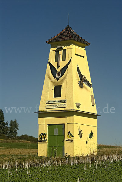 Nistkasten (nest box)