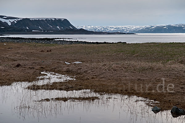 Norwegen (Norway)