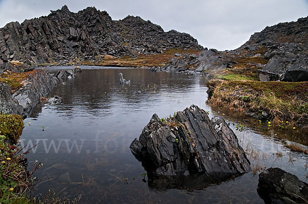 Norwegen (Norway)