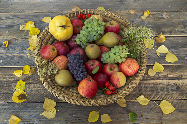 Obst (fruit)