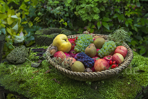 Obst (fruit)