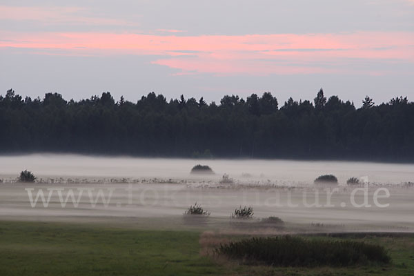 Polen (Poland)