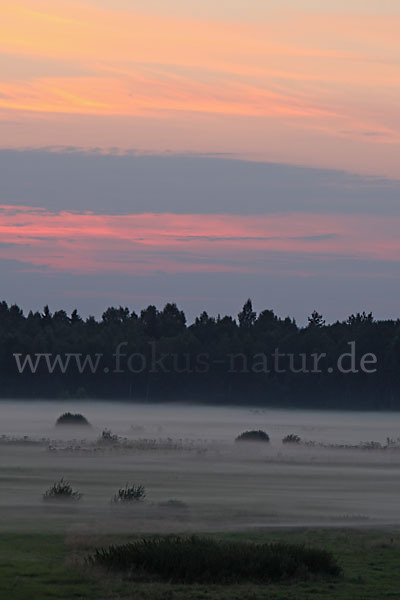 Polen (Poland)