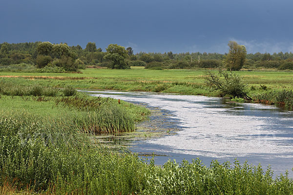 Polen (Poland)