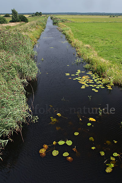 Polen (Poland)