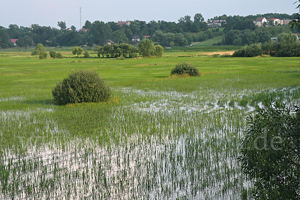 Polen (Poland)