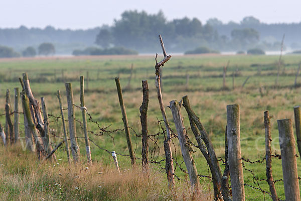 Polen (Poland)