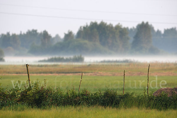 Polen (Poland)