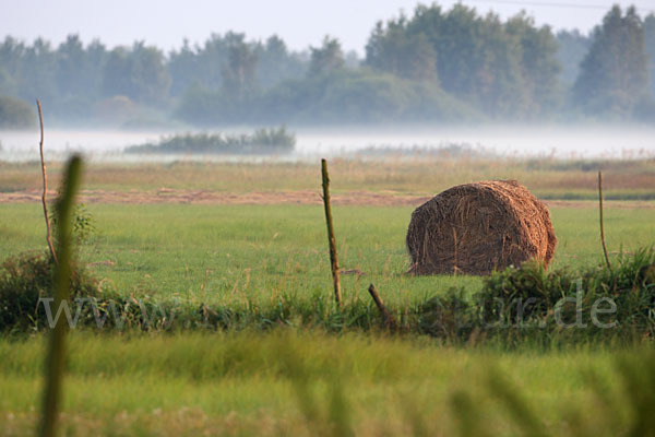 Polen (Poland)