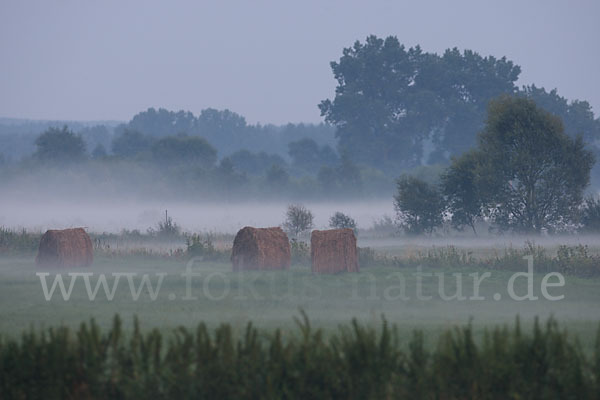 Polen (Poland)