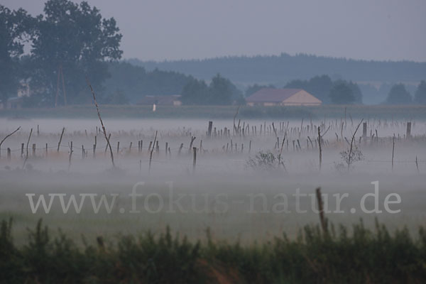 Polen (Poland)