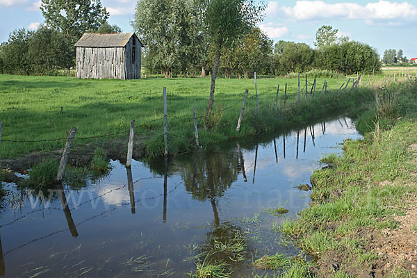 Polen (Poland)