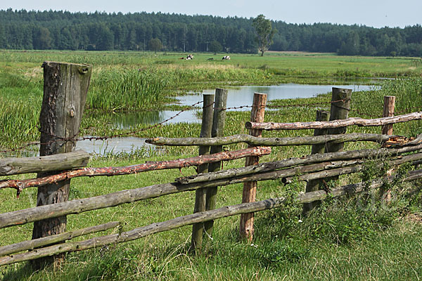 Polen (Poland)