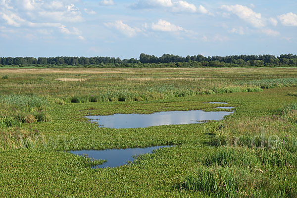 Polen (Poland)