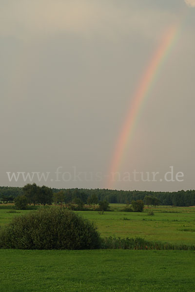 Polen (Poland)