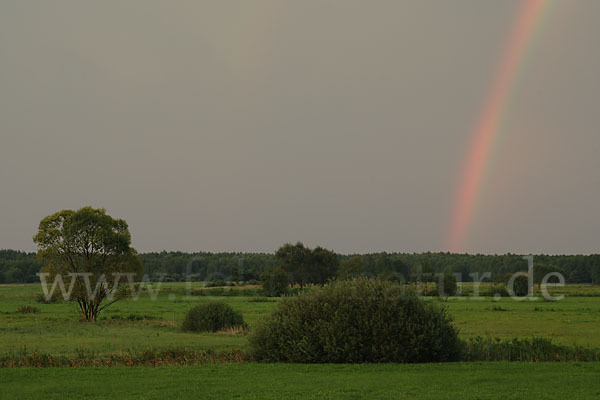 Polen (Poland)