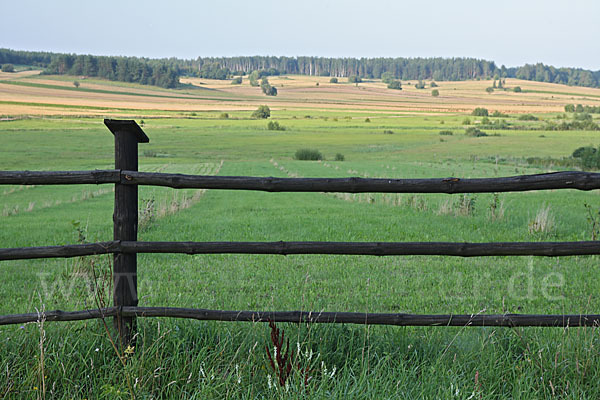 Polen (Poland)