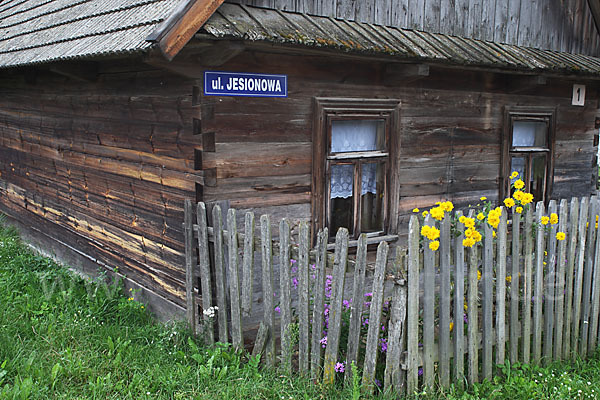 Polen (Poland)