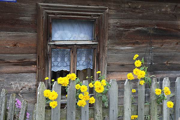 Polen (Poland)