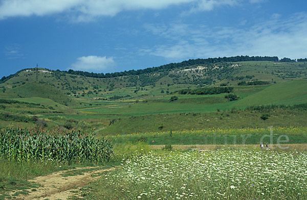 Rumänien (Romania)
