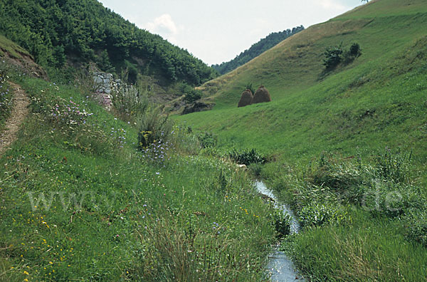 Rumänien (Romania)