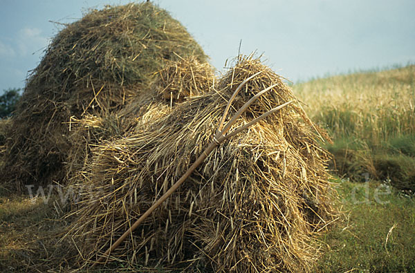 Rumänien (Romania)