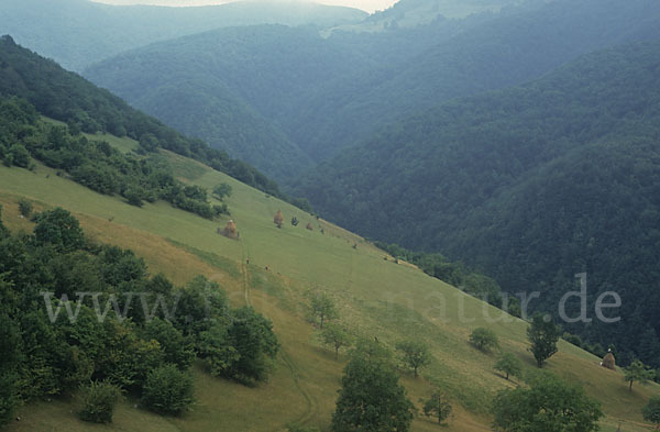 Rumänien (Romania)