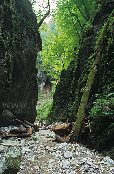 Rumänien (Romania)