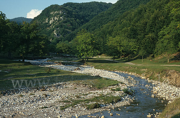 Rumänien (Romania)