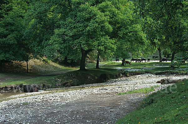 Rumänien (Romania)