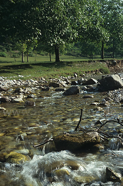 Rumänien (Romania)