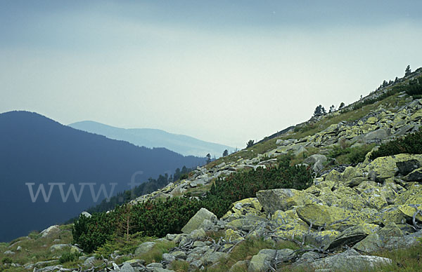 Rumänien (Romania)